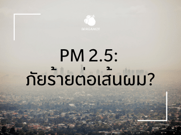 PM2.5: ภัยร้ายต่อเส้นผม?